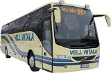 Veljekset Viitala
